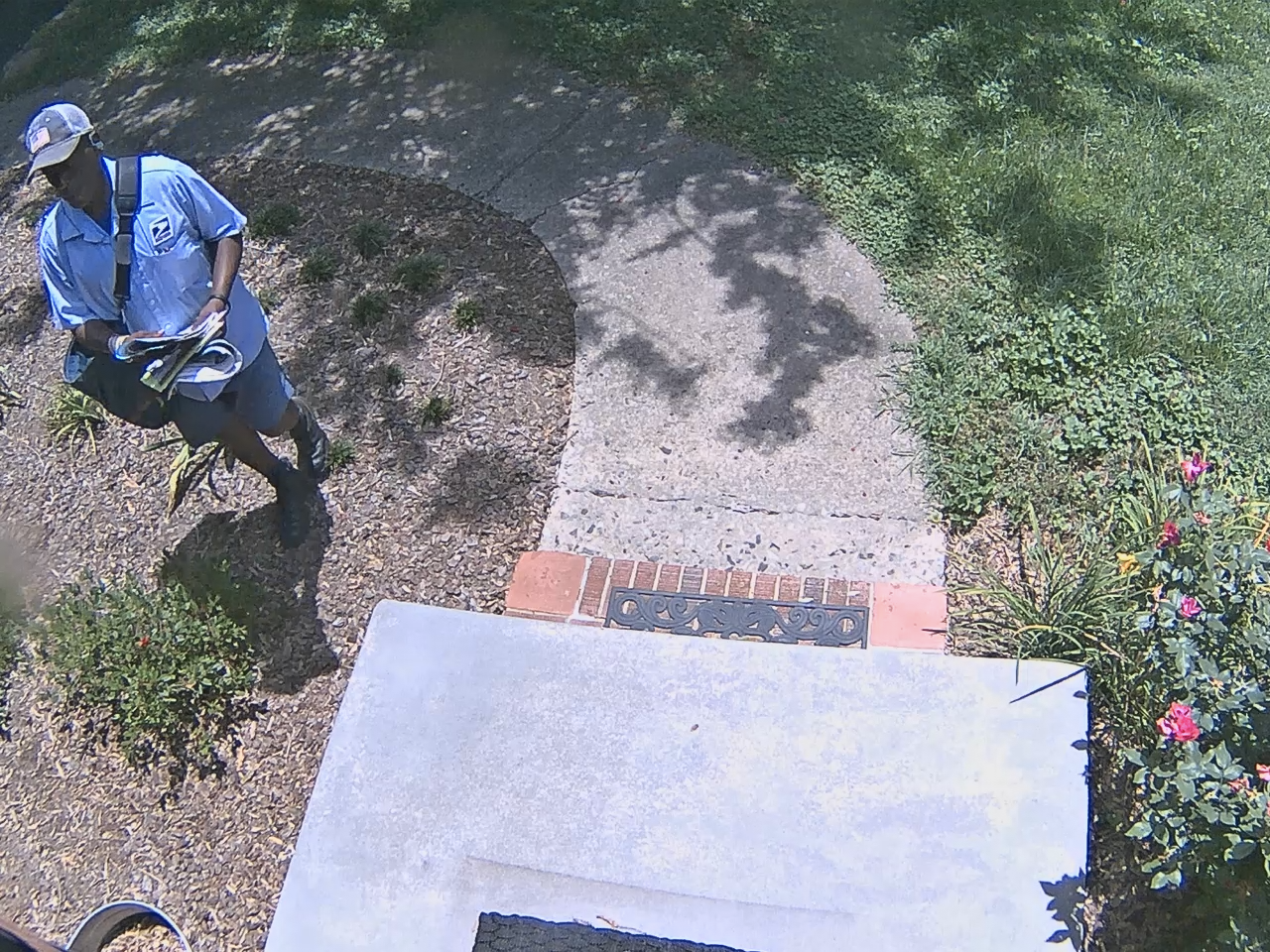Just the mailman