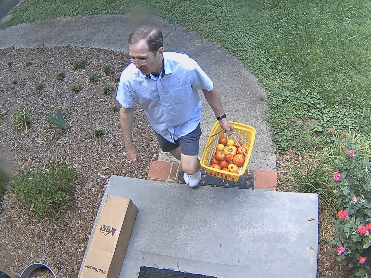Tomato time